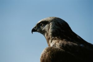 ギャンブル，本気，やめたい