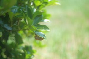 ギャンブル，本気，やめたい