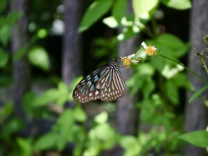 ギャンブル，本気，やめたい