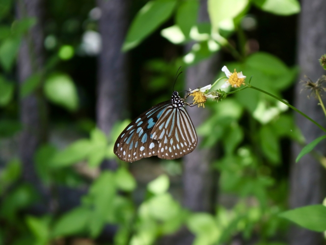 ギャンブル，本気，やめたい